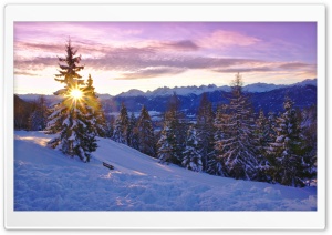 Winter Time Ultra HD Wallpaper for 4K UHD Widescreen desktop, tablet & smartphone