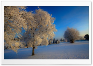 Winter Twilight Ultra HD Wallpaper for 4K UHD Widescreen desktop, tablet & smartphone