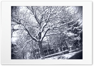 Winter wallpaper Bosnia 4K UHD Wallpaper for Widescreen and UltraWide Desktop, UltraHD TV, Smartphone, Tablet
