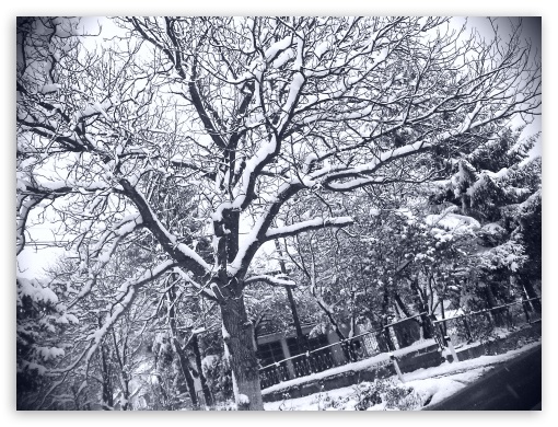 Winter wallpaper Bosnia UltraHD Wallpaper for Fullscreen 4:3 ;