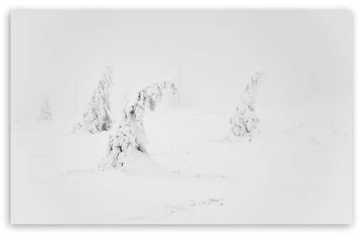 Winter White Snow Aesthetic UltraHD Wallpaper for Wide 16:10 5:3 Widescreen WHXGA WQXGA WUXGA WXGA WGA ; UltraWide 21:9 ; 8K UHD TV 16:9 Ultra High Definition 2160p 1440p 1080p 900p 720p ; Standard 4:3 5:4 3:2 Fullscreen UXGA XGA SVGA QSXGA SXGA DVGA HVGA HQVGA ( Apple PowerBook G4 iPhone 4 3G 3GS iPod Touch ) ; Smartphone 16:9 3:2 5:3 2160p 1440p 1080p 900p 720p DVGA HVGA HQVGA ( Apple PowerBook G4 iPhone 4 3G 3GS iPod Touch ) WGA ; Tablet 1:1 ; iPad 1/2/Mini ; Mobile 4:3 5:3 3:2 16:9 5:4 - UXGA XGA SVGA WGA DVGA HVGA HQVGA ( Apple PowerBook G4 iPhone 4 3G 3GS iPod Touch ) 2160p 1440p 1080p 900p 720p QSXGA SXGA ; Dual 4:3 5:4 UXGA XGA SVGA QSXGA SXGA ;