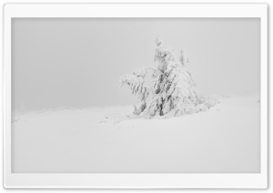 Winter White Snow Tree Aesthetic Ultra HD Wallpaper for 4K UHD Widescreen desktop, tablet & smartphone