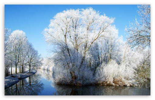 winter wonderland desktop background