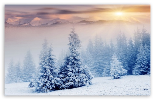 winter wonderland hd desktop wallpaper