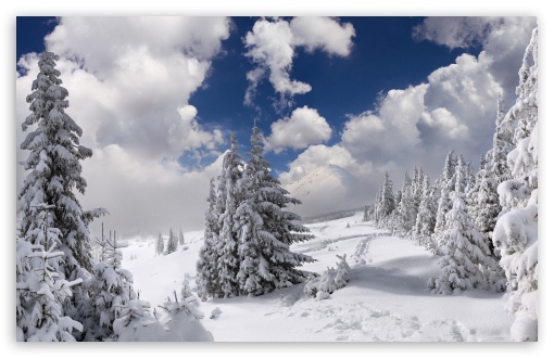Winter Wonderland Alpine Scene UltraHD Wallpaper for UHD 16:9 ; HD 16:9 ; UltraWide 21:9 24:10 ; Widescreen 16:10 5:3 ; Fullscreen 4:3 5:4 3:2 ; Tablet 1:1 ; Mobile 9:16 9:19.5 9:20 10:16 2:3 3:5 3:4 ;