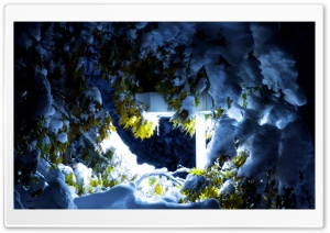 Winterlight Ultra HD Wallpaper for 4K UHD Widescreen desktop, tablet & smartphone