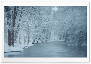 Winter's Beauty, A Stream Surrounded by Snowy Trees in Finland Ultra HD Wallpaper for 4K UHD Widescreen Desktop, Lockscreen, Screensaver, TV, Tablet, Smartphone