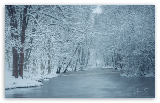 Winter's Beauty, A Stream Surrounded by Snowy Trees in Finland UltraHD Wallpaper for UHD 16:9 ; HD 16:9 ; UltraWide 21:9 24:10 ; Widescreen 16:10 5:3 ; Fullscreen 4:3 5:4 3:2 ;