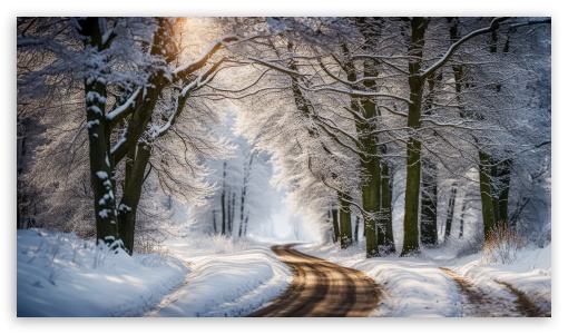 Winter's Charm UltraHD Wallpaper for UHD 16:9 ; HD 16:9 ;