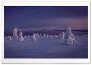 Winter's Embrace, A Scenic Finnish Landscape Ultra HD Wallpaper for 4K UHD Widescreen Desktop, Lockscreen, Screensaver, TV, Tablet, Smartphone