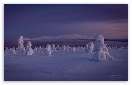 Winter's Embrace, A Scenic Finnish Landscape UltraHD Wallpaper for UHD 16:9 ; HD 16:9 ; UltraWide 21:9 24:10 ; Widescreen 16:10 5:3 ; Fullscreen 3:2 ; Dual 5:4 3:2 ;