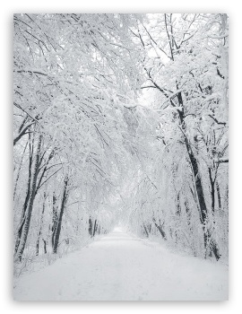 Winterscape UltraHD Wallpaper for Mobile 4:3 3:2 - UXGA XGA SVGA DVGA HVGA HQVGA ( Apple PowerBook G4 iPhone 4 3G 3GS iPod Touch ) ;