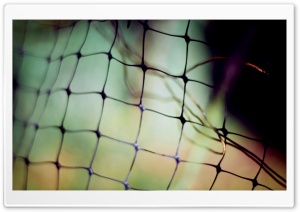 Wire Fence Ultra HD Wallpaper for 4K UHD Widescreen desktop, tablet & smartphone