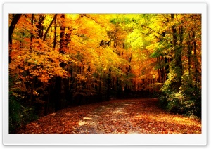 Wisconsin Autumn Ultra HD Wallpaper for 4K UHD Widescreen desktop, tablet & smartphone