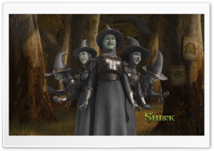 Witches, Shrek The Final Chapter Ultra HD Wallpaper for 4K UHD Widescreen desktop, tablet & smartphone
