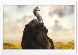 Wolf Ultra HD Wallpaper for 4K UHD Widescreen desktop, tablet & smartphone