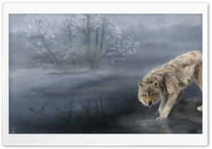 Wolf Drinking Water Painting Ultra HD Wallpaper for 4K UHD Widescreen desktop, tablet & smartphone