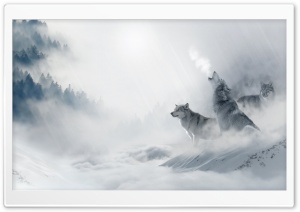Wolf Howling Ultra HD Wallpaper for 4K UHD Widescreen desktop, tablet & smartphone