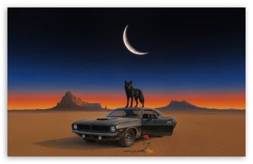 Wolf Standing on a Classic Dodge in the Desert UltraHD Wallpaper for UHD 16:9 ; HD 16:9 ; UltraWide 21:9 24:10 32:9 32:10 ; Widescreen 16:10 ; Tablet 1:1 ; Dual 16:10 16:9 ;