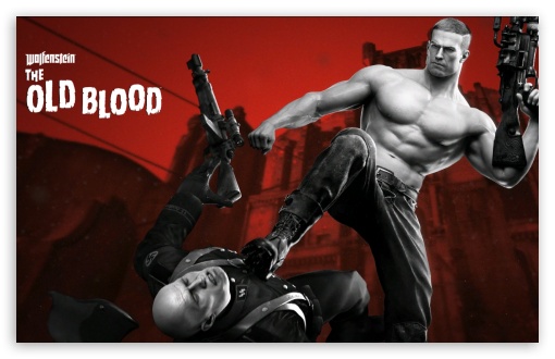 Wolfenstein The Old Blood 2015 Game UltraHD Wallpaper for 8K UHD TV 16:9 Ultra High Definition 2160p 1440p 1080p 900p 720p ; Widescreen 16:10 5:3 WHXGA WQXGA WUXGA WXGA WGA ; Tablet 1:1 ; Mobile 3:4 - ;