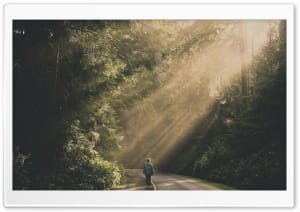 Woman Alone Forest Road Sunbeams 4K UHD Wallpaper for Widescreen and UltraWide Desktop, UltraHD TV, Smartphone, Tablet
