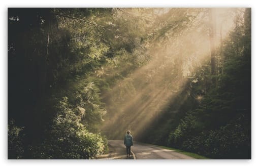 Woman Alone Forest Road Sunbeams UltraHD Wallpaper for UHD 16:9 ; HD 16:9 ; UltraWide 21:9 24:10 32:9 32:10 ; Widescreen 16:10 ; Tablet 1:1 ; Mobile 9:16 9:19.5 9:20 ; Dual 16:10 16:9 ;