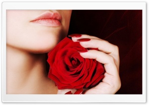 Woman Holding A Red Rose Ultra HD Wallpaper for 4K UHD Widescreen desktop, tablet & smartphone