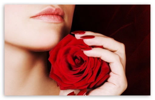 Woman Holding A Red Rose UltraHD Wallpaper for Wide 16:10 5:3 Widescreen WHXGA WQXGA WUXGA WXGA WGA ; 8K UHD TV 16:9 Ultra High Definition 2160p 1440p 1080p 900p 720p ; Standard 4:3 5:4 3:2 Fullscreen UXGA XGA SVGA QSXGA SXGA DVGA HVGA HQVGA ( Apple PowerBook G4 iPhone 4 3G 3GS iPod Touch ) ; iPad 1/2/Mini ; Mobile 4:3 5:3 3:2 16:9 5:4 - UXGA XGA SVGA WGA DVGA HVGA HQVGA ( Apple PowerBook G4 iPhone 4 3G 3GS iPod Touch ) 2160p 1440p 1080p 900p 720p QSXGA SXGA ;