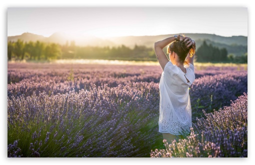 Woman in a Field of Flowers UltraHD Wallpaper for UHD 16:9 ; HD 16:9 ; Widescreen 16:10 5:3 ; Fullscreen 4:3 5:4 3:2 ; Tablet 1:1 ;