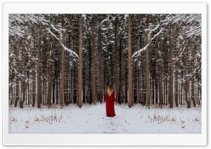 Woman in Red dress, Forest Trees, Winter Ultra HD Wallpaper for 4K UHD Widescreen desktop, tablet & smartphone