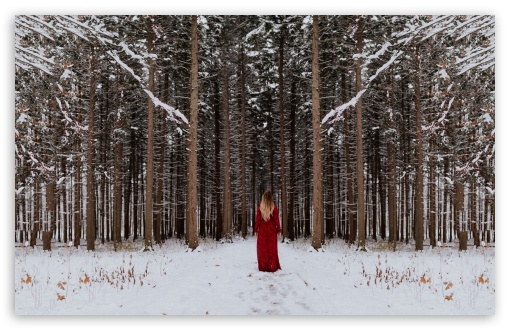 Woman in Red dress, Forest Trees, Winter UltraHD Wallpaper for Wide 16:10 5:3 Widescreen WHXGA WQXGA WUXGA WXGA WGA ; UltraWide 21:9 24:10 ; 8K UHD TV 16:9 Ultra High Definition 2160p 1440p 1080p 900p 720p ; UHD 16:9 2160p 1440p 1080p 900p 720p ; Standard 4:3 5:4 3:2 Fullscreen UXGA XGA SVGA QSXGA SXGA DVGA HVGA HQVGA ( Apple PowerBook G4 iPhone 4 3G 3GS iPod Touch ) ; Smartphone 16:9 3:2 5:3 2160p 1440p 1080p 900p 720p DVGA HVGA HQVGA ( Apple PowerBook G4 iPhone 4 3G 3GS iPod Touch ) WGA ; Tablet 1:1 ; iPad 1/2/Mini ; Mobile 4:3 5:3 3:2 16:9 5:4 - UXGA XGA SVGA WGA DVGA HVGA HQVGA ( Apple PowerBook G4 iPhone 4 3G 3GS iPod Touch ) 2160p 1440p 1080p 900p 720p QSXGA SXGA ;