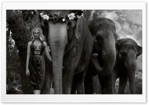 Woman Leading the Elephants Ultra HD Wallpaper for 4K UHD Widescreen desktop, tablet & smartphone