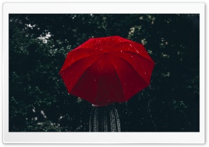 Woman, Red Umbrella, Rain Ultra HD Wallpaper for 4K UHD Widescreen desktop, tablet & smartphone