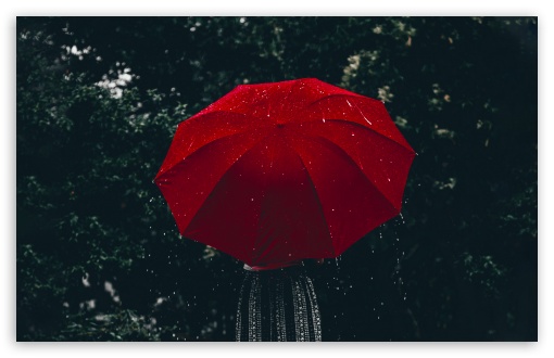 Woman, Red Umbrella, Rain Ultra HD Desktop Background Wallpaper for 4K UHD  TV : Tablet : Smartphone