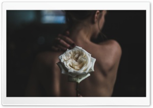Womans Back Photography Ultra HD Wallpaper for 4K UHD Widescreen desktop, tablet & smartphone