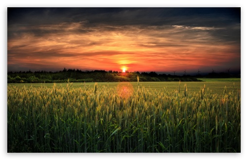 Wonderful Sunset Ultra HD Desktop Background Wallpaper for 4K UHD TV ...
