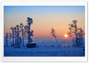 Wonderful Winter Morning Ultra HD Wallpaper for 4K UHD Widescreen desktop, tablet & smartphone