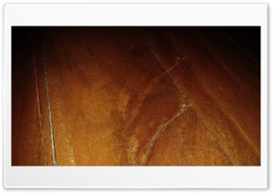 Wood Ultra HD Wallpaper for 4K UHD Widescreen desktop, tablet & smartphone