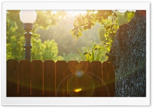 Wood Fence Ultra HD Wallpaper for 4K UHD Widescreen desktop, tablet & smartphone