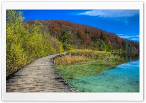 Wood Lake Path Ultra HD Wallpaper for 4K UHD Widescreen desktop, tablet & smartphone