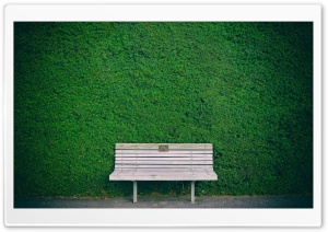 Wooden Bench, Green Hedge Ultra HD Wallpaper for 4K UHD Widescreen desktop, tablet & smartphone