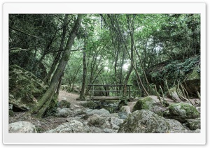 Wooden Bridge, Aiguafreda Ultra HD Wallpaper for 4K UHD Widescreen desktop, tablet & smartphone