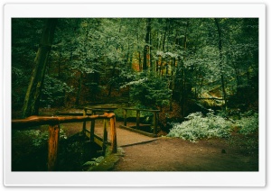 Wooden Bridge in the Forest 4K UHD Wallpaper for Widescreen and UltraWide Desktop, UltraHD TV, Smartphone, Tablet