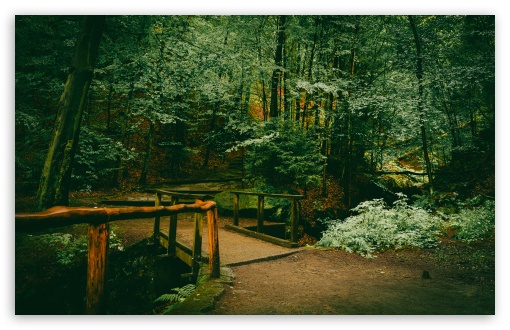 Wooden Bridge in the Forest UltraHD Wallpaper for UHD 16:9 ; HD 16:9 ; UltraWide 21:9 24:10 32:9 32:10 ; Widescreen 16:10 5:3 ; Fullscreen 4:3 5:4 3:2 ; Tablet 1:1 ; Mobile 9:16 10:16 3:4 ; Dual 16:10 5:3 16:9 4:3 5:4 3:2 ;