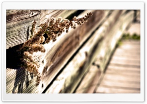 Wooden Fence Ultra HD Wallpaper for 4K UHD Widescreen desktop, tablet & smartphone