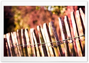 Wooden Fence Ultra HD Wallpaper for 4K UHD Widescreen Desktop, Lockscreen, Screensaver, TV, Tablet, Smartphone