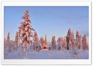 Wooden House In Winter Forest Ultra HD Wallpaper for 4K UHD Widescreen desktop, tablet & smartphone