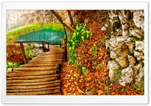 Wooden Path Ultra HD Wallpaper for 4K UHD Widescreen desktop, tablet & smartphone