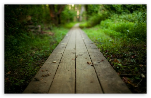 Wooden Path UltraHD Wallpaper for HD 16:9 ; Widescreen 16:10 5:3 ; Fullscreen 4:3 5:4 3:2 ; Tablet 1:1 ; Mobile 3:5 3:4 ; Dual 16:10 5:3 16:9 4:3 5:4 ;