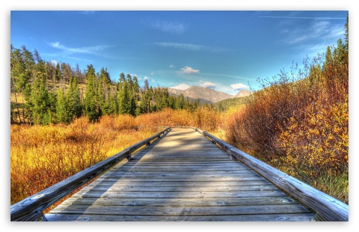 Wooden Road On The Field UltraHD Wallpaper for HD 16:9 ; Widescreen 16:10 5:3 ; Fullscreen 3:2 ;